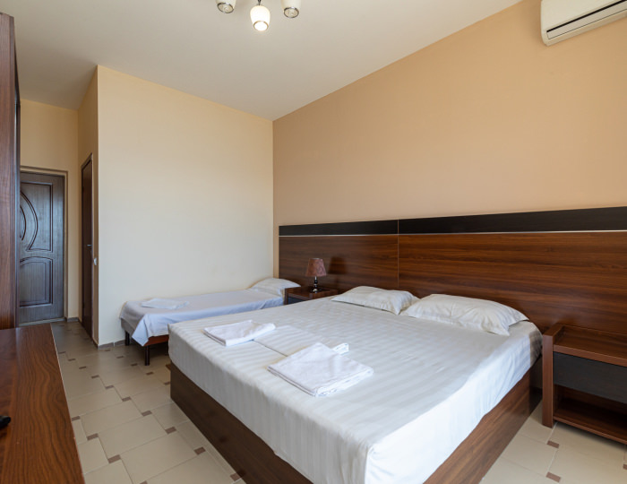 Стандартный 2-местный 1-комнатный в Новом корпусе - Пансионат «Багрипш»